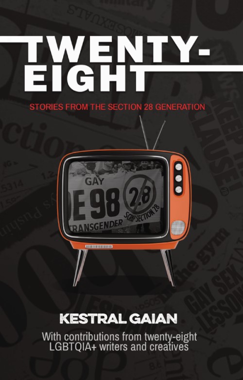 Cover for: Twenty-Eight: Stories from the Section 28 Generation