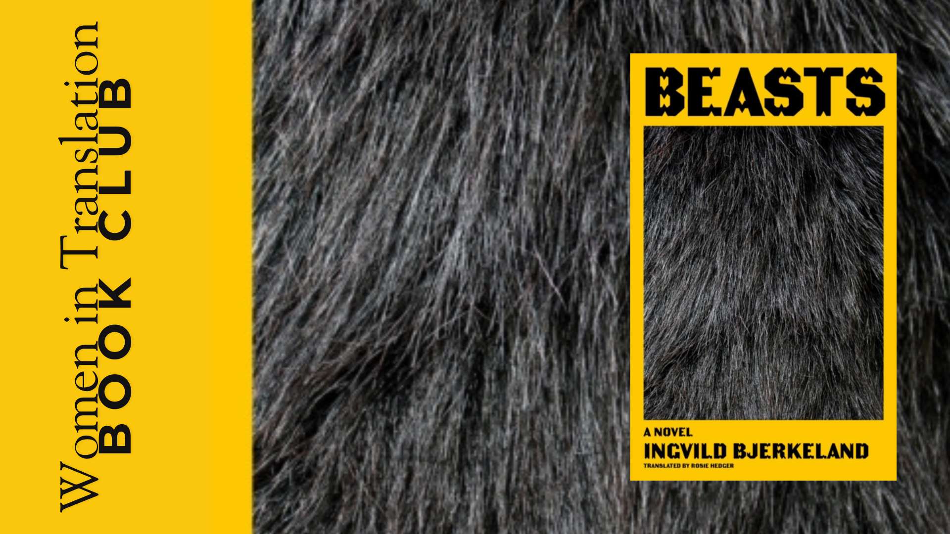 Women in Translation Book Club: Beasts, with null